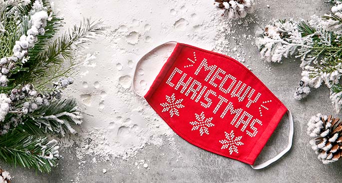 Christmas Sweater Mask